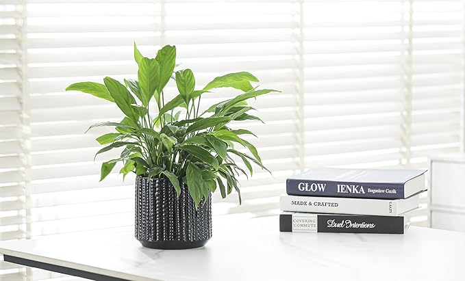 Ceramic Planter Pot with Drainage Hole, 5 Inch Dia, Indoor and Outdoor, Home Patio Garden, Plants Flower Succulent, Textured Round (Black)