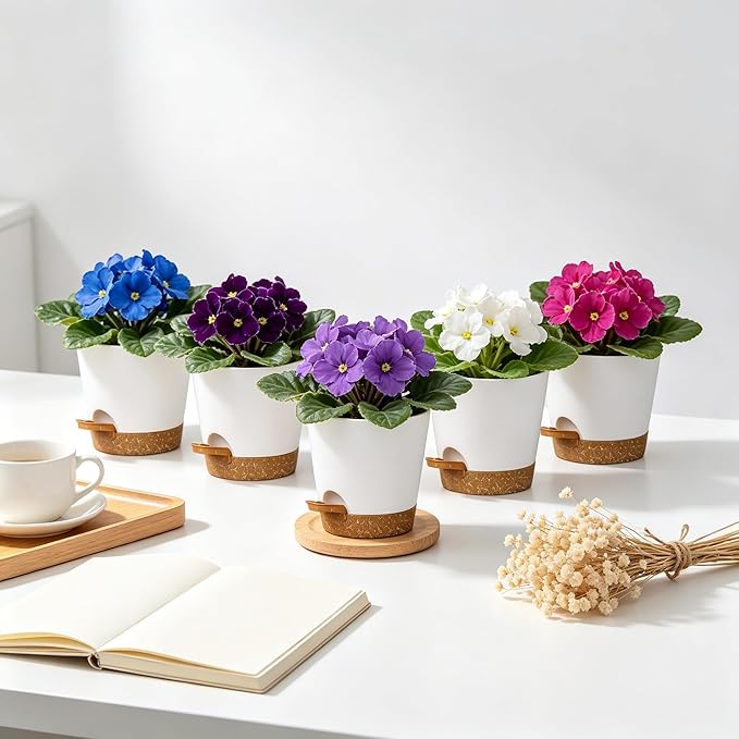 5 Pack 5 Inch African Violet Pots Self Watering, Self-Watering Planters with Drainage Holes & Reservoir, White Brown Plastic Pots for Indoor Outdoor Plants, Succulents & Flowers