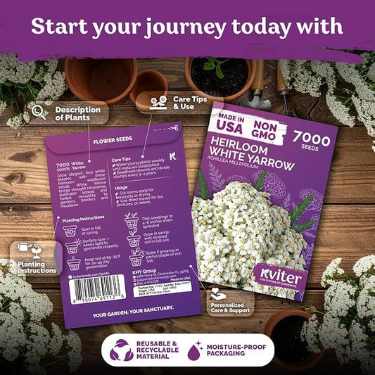 KVITER 7000 White Yarrow Seeds for Planting (Achillea Millefolium) — Perennial Flower Seeds to Plant Outside, Heirloom — Native Wildflower Seed for Herb Garden, Beds, Containers & Meadows