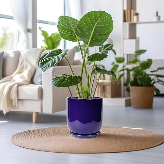 Ceramic Planter - 12 Inch Pots for Plants Ceramic Plant Pot Indoor with Drainage Hole and Saucer Large Planter Flower Pot Outdoor for Home Garden Decor Blue