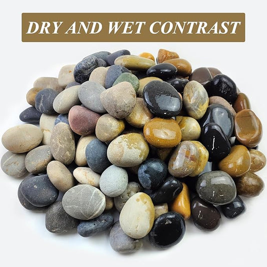 10 lbs River Rocks, 2-3 Inch Natural Pebbles for Plants, Landscaping, Garden, Aquarium, Backyard and Indoor Water Fountains