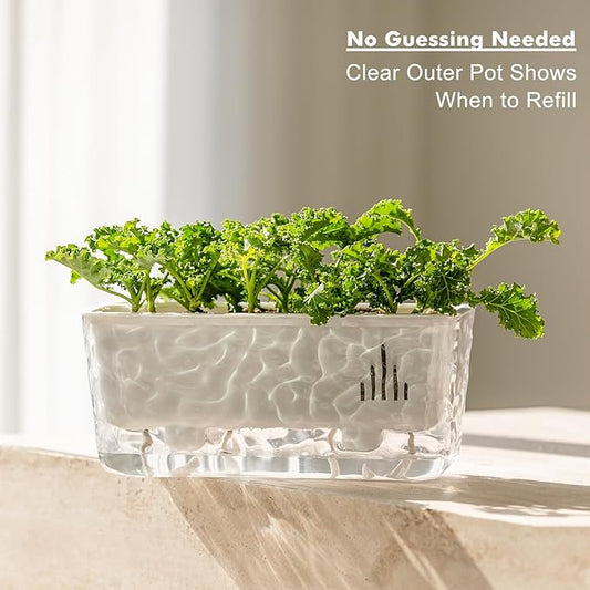 Self Watering Pots for Indoor Plans, 2 Packs Window Boxes Planters Rectangle Self Watering Planter 11 in Rectangular Clear Plant Pots Long Herb Windowsill Planter Flower Box Succulent Planters