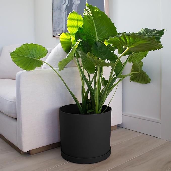 Bloem Mathers Round Planter with Saucer Tray: 12" - Black - Modern Design, Durable Plastic Pot, Removable Saucer, for Indoor & Outdoor Use, Gardening, 5.8 Gallon Capacity