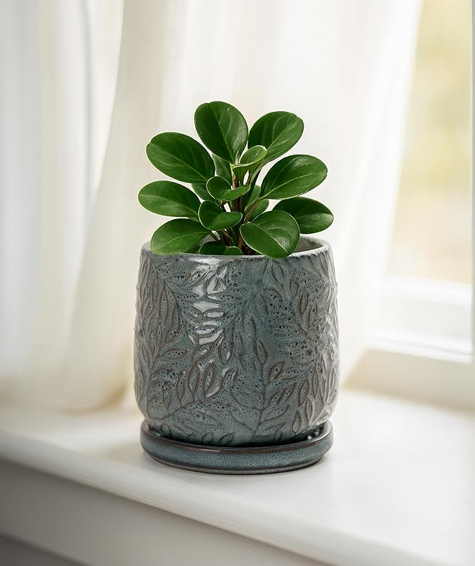 D'vine Dev 4 Inch Embossed Leaves Stoneware Planter Pot with Drainage Hole and Saucer, Graphite Blue, 27-A-Z-9