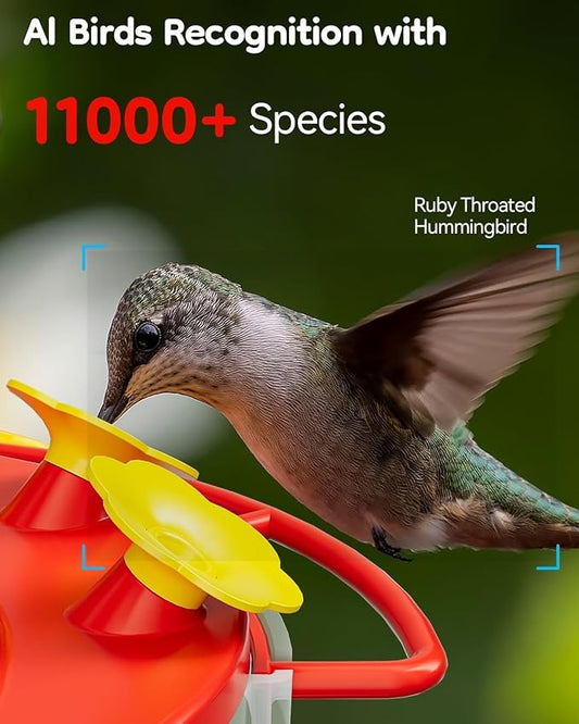2K Hummingbird Feeder Camera Outdoor - AI Identify 10000+ Birds, Ant Bee Proof, Instant Notification - Great Gift for Bird Lovers