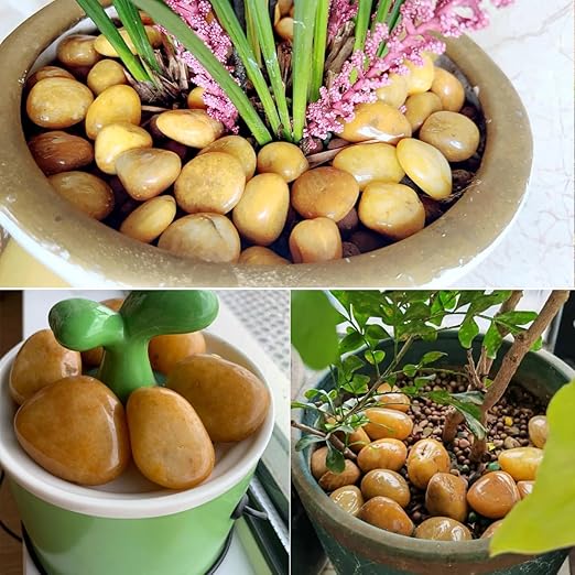40lbs Yellow River Rocks for Landscaping, 2-3 Inch Natural Pebbles for Indoor Plants, High Polished Decorative Stones Garden Outdoor and Indoor DIY Vase Filler Fish Tank Aquariums