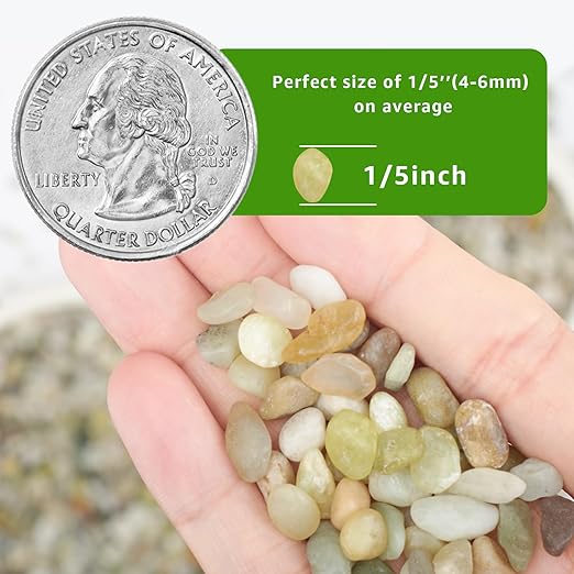 2lbs Natural Gravel Pebbles for Succulents and Cacti, 1/5 Inch Decorative River Stones – Perfect for Vases, Aquariums, Terrariums, and Outdoor Gardening, Mixed Colors (Jade, 2 Pounds)