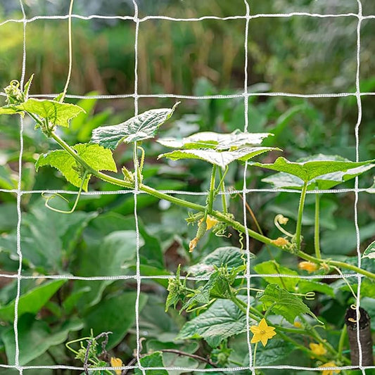 Tcamp Heavy-Duty Polyester Plant Trellis Netting 5 x 30ft (1 Pack) (5 Ft X 30 Ft)