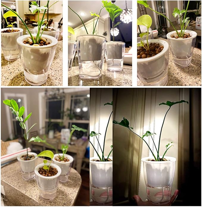6 Pakcs Self-Watering Planters for Indoor Plants 7"/ 5.1"/ 4.3" Clear African Violet Pots Plastic Orchid Pots Wick Flower Pots, Large, Medium and Small Sizes, Home Decor Pot