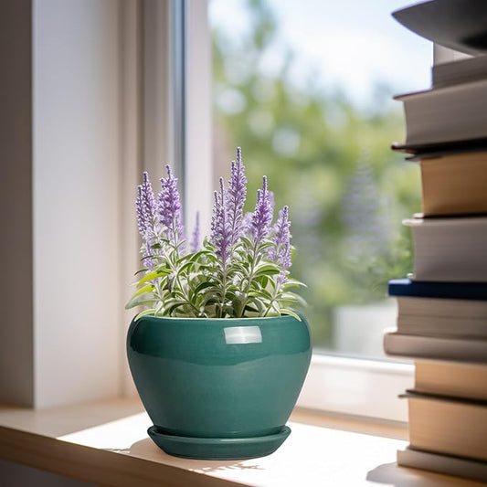 Indoor Plant Pot 6 Inch - Ceramic Planter with Drainage Hole and Saucer, Modern Decorative Indoor Planter for Herb Succulent Plants, Garden Home Decor, Gifts for Plant Lovers, Green