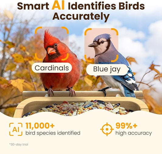 Bird Feeder with Camera, Smart Bamboo Bird Feeder, 2.5K UHD AI Identification, Real-time Videos & Pictures, Wireless Solar Powered Outdoor, Ideal for Garden Birding, Premium Present