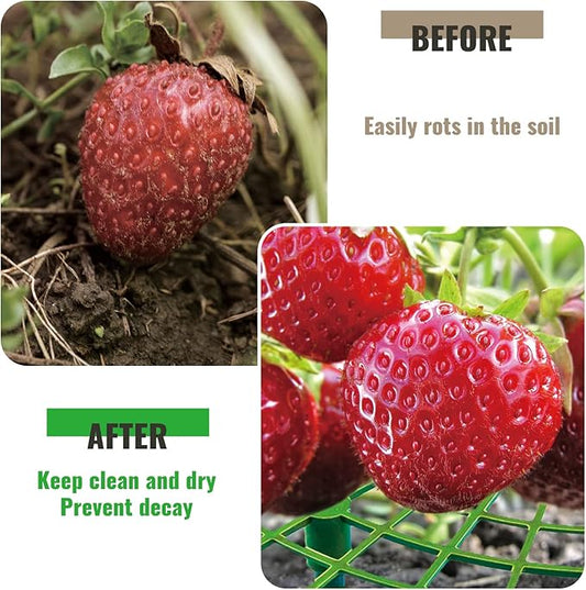 12 Pack Strawberry Supports, strawberry holder plants live for planting,Strawberry Growing Frame,Strawberry Trellis for Keeping Fruit Elevated to Avoid Ground Rot (green-12 pack)