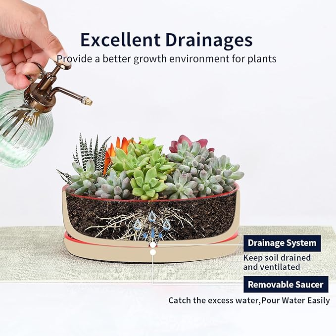 Selamica Ceramic Succulent Pots, Shallow Succulent Planters with Drainage Hole & Saucer, Indoor Plant Pots for Cactus, Home Decor,Assorted Colors,8 inch,Set of 2