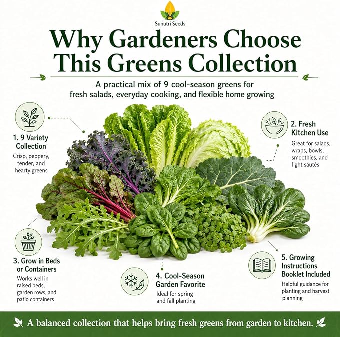 Salad Greens Variety Pack Seeds β 9 Heirloom Leafy Green Vegetable Seeds | Lettuce Kale Spinach Arugula Collards Beet Greens Mustard Cress for Raised Beds Containers Garden