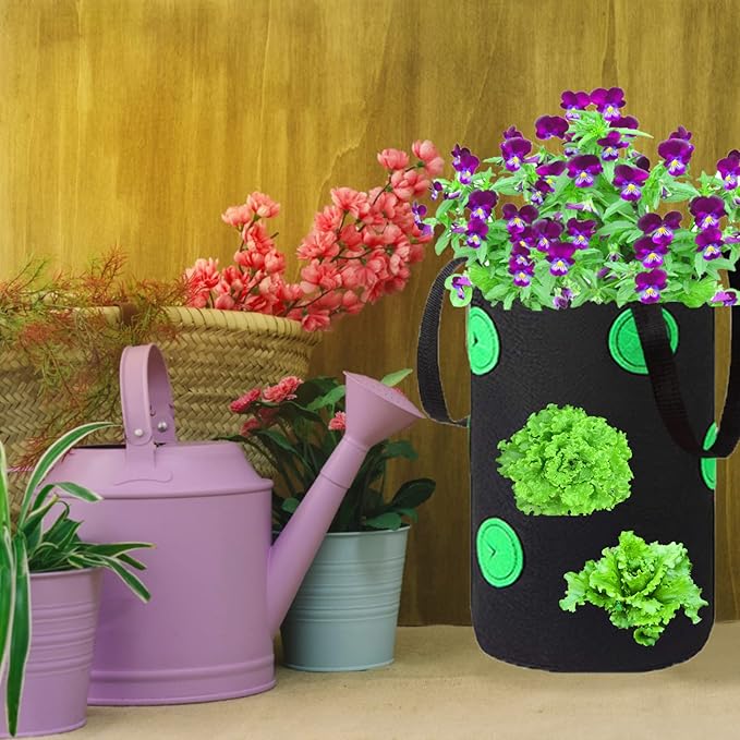 Miewslan 2 Pack Gardens Upside Down Strawberry Planter, Hanging Tomato Strawberry Grow Planter Garden Vegetable Planting Bags with Holes(Black)