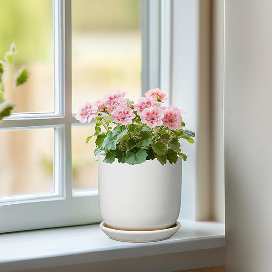 Indoor Plant Pot 5 Inch - Round Ceramic Planter for Succulent Plants with Drainage Hole and Saucer, Modern Home Decor, White