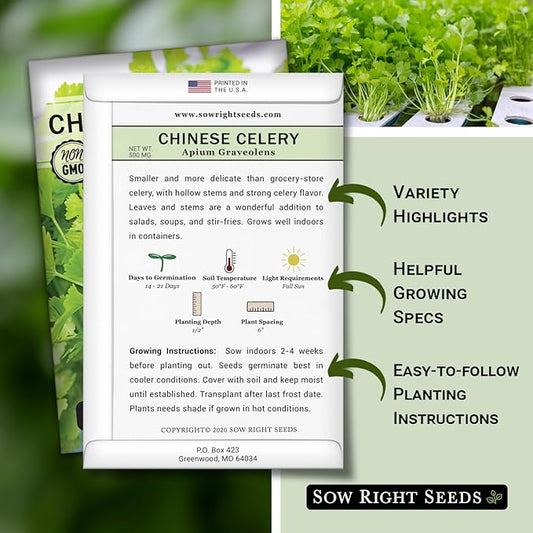 Sow Right Seeds - Chinese Celery Seeds for Planting - Non-GMO Heirloom Packet with Instructions to Plant and Grow a Home Vegetable Garden - Culinary and Compact Herb, Abundant Stalks (1)