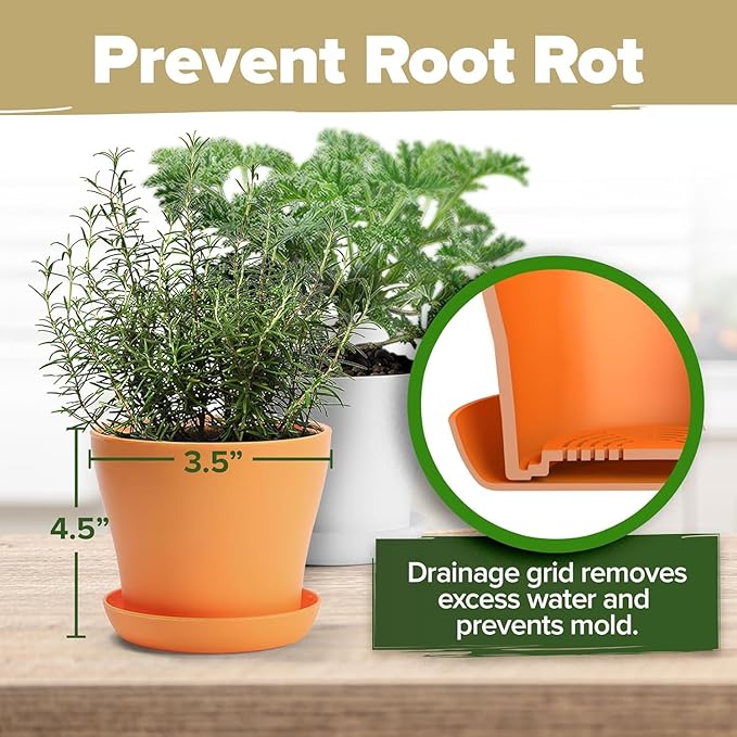 HOME GROWN Gift Herb Kit – 8 Herb Seeds Set with Basil, Cilantro, Mint & More, Complete Indoor Grow Kit for Kitchen, Gardening Gifts for Women & Men, Ideal for Cooking & Home Décor