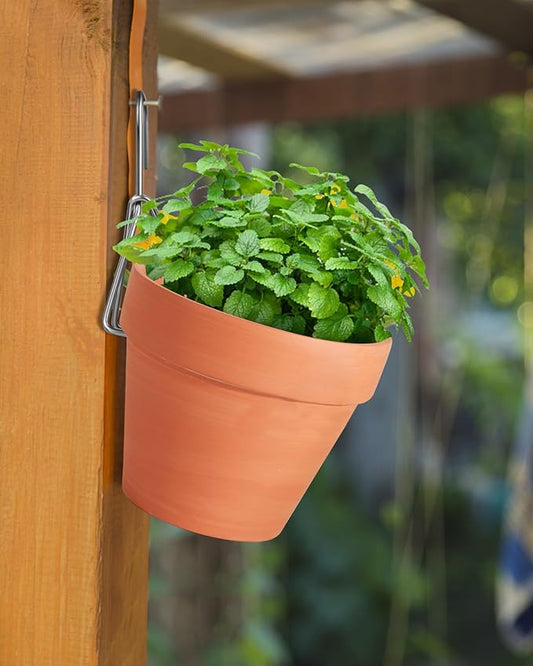 20 Packs Terracotta Pots Hanger Hooks,Sturdy Thick Stainless Steel Plant Hanger,Flower Pot Holders for Clay Pots,Wall and Fence Mounted Plant Holder,Terra Cotta Pot Hanging Holders(Side Hang,20Pack)