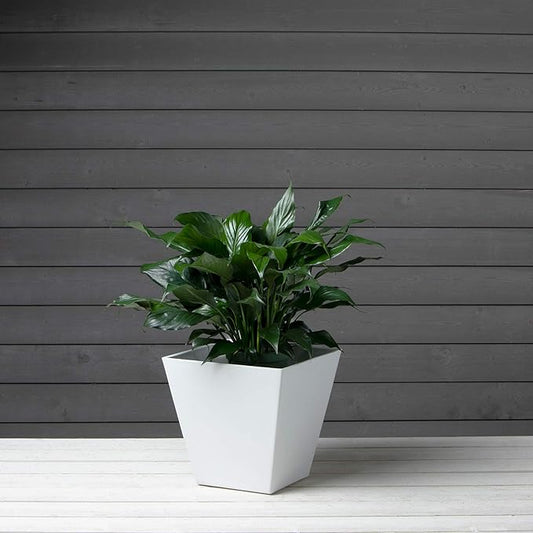 Novelty Artstone 35122 Ella Square Planter, White