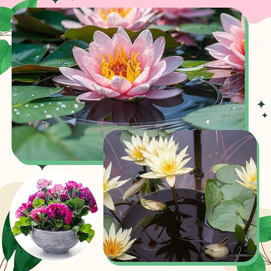 2 Pcs 13.8 Inch Lotus Bowl Planter Large Water Lily Pots Succulent Hydroponic Bowl Pot Flower Planting Pot for Outdoor Indoor Plant Mini Fish Pond No Drainage Hole(Gray)
