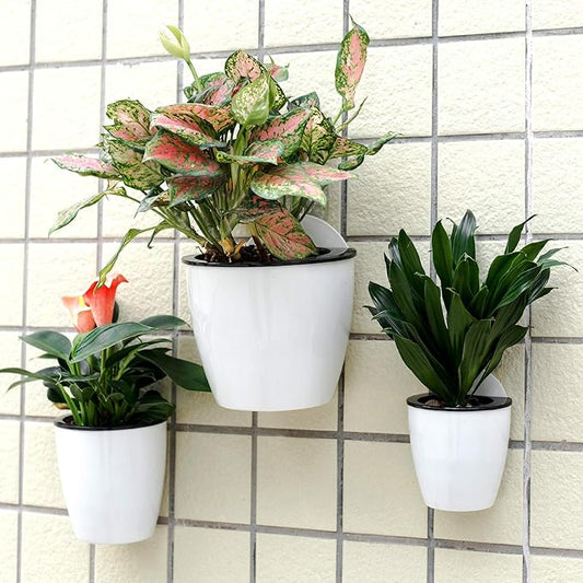 6 Pack White Hanging Planter Pots Self Watering Vertical Garden Wall Mount Window Hang Round Plastic Container Indoor Outdoor for Plants Flowers Succulent Kitchen Living Herbs Holder Decor(Large)