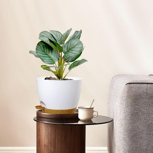 8 inch Self Watering Pots, 2 Pack Plastic Planters with Mesh Drainage Holes for Garden Plants and Flower, Plants Pots with Deep Reservoir for Indoor Outdoor Plants, White with Brown
