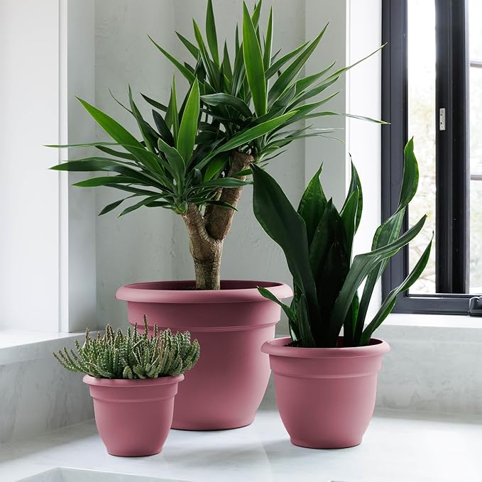Bloem Ariana 16" Dusty Rose Round Self-Watering Resin Planter Pot - Rolled Rim Indoor and Outdoor Gardening Planter