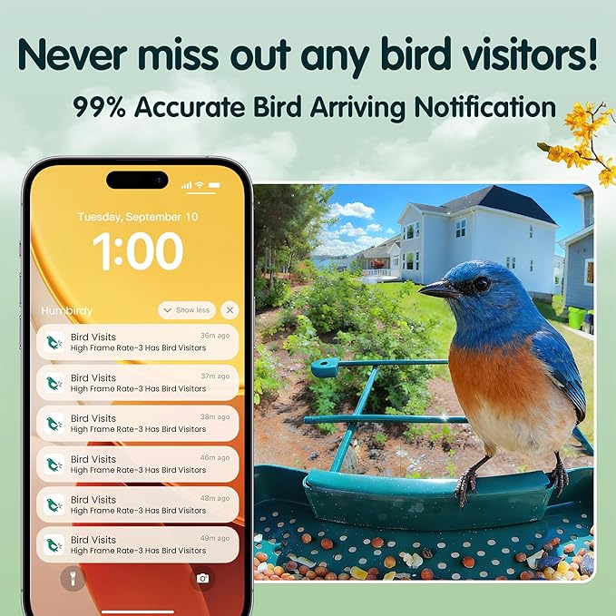 Humbirdy-Bird Feeder with Camera, 8MP Ultra HD Video & Photo, 10x Slow-Motion, 4K 30fps Live View, AI Identify, No Subscription, 2.4G/5G Wi-Fi, Solar Powered, Wildbird Watching Gifts-Metal