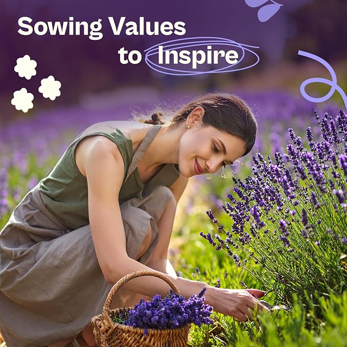 SVI 1500 English Lavender Seeds for Planting (Lavandula angustifolia) – Fragrant Perennial Lavender Flowers – Heirloom Herb Seeds for Borders, Herb Garden & Containers, Wildflower Meadows