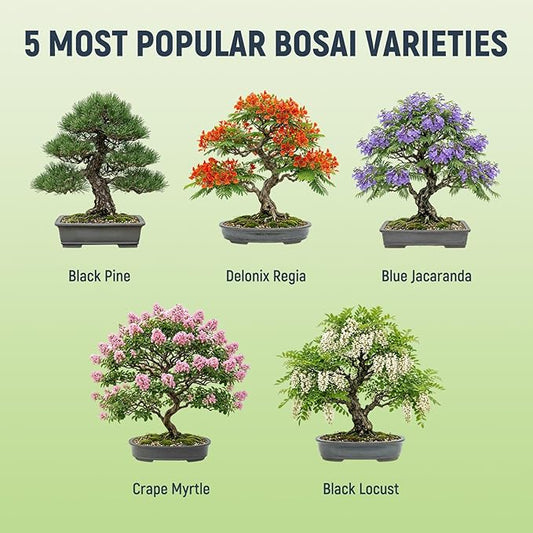 Bonsai Tree Kit - Complete Indoor Bonsai Starter Kit with 5 Unique Tree Seeds, Bonsai Tools - DIY Gardening Gift for Adults Women Men, Mom, Her, Friend (5 Bonsai Trees)