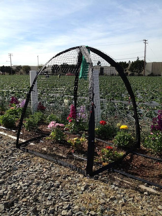 NuVue Products 32109 Pop-Up Garden Netting Pest Guard Cover with Ground Spikes, Mesh Plant Cover Tent for Pest and Animal Control, Black, 52" x 52" x 54"