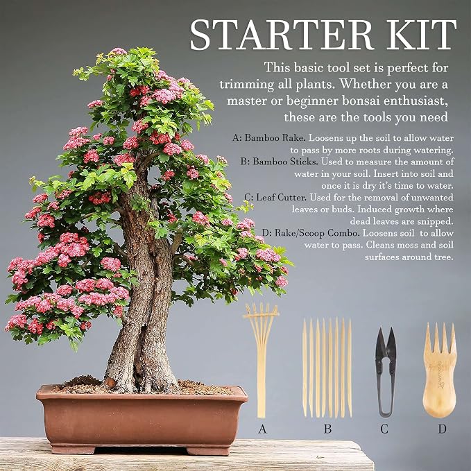 BambooMN Bonsai Tree Pruning Trimming Starter Tool Kit - Leaf Trimmers, and Bamboo Rake - 30 Sets