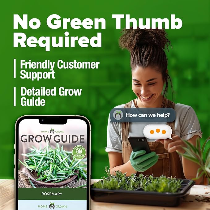 HOME GROWN Rosemary Seeds Pack - 300 High Germinating Heirloom Herb Seeds for Planting in Indoor or Outdoor Herb Gardens (Salvia rosmarinus)