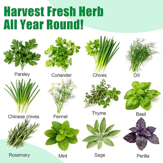Gourmet Herb Seed Pod Kit - 12-Pod Set with Parsley, Thyme, Mint, Cilantro, Dill, and Oregano - Universal Compatibility with All Hydroponic Systems
