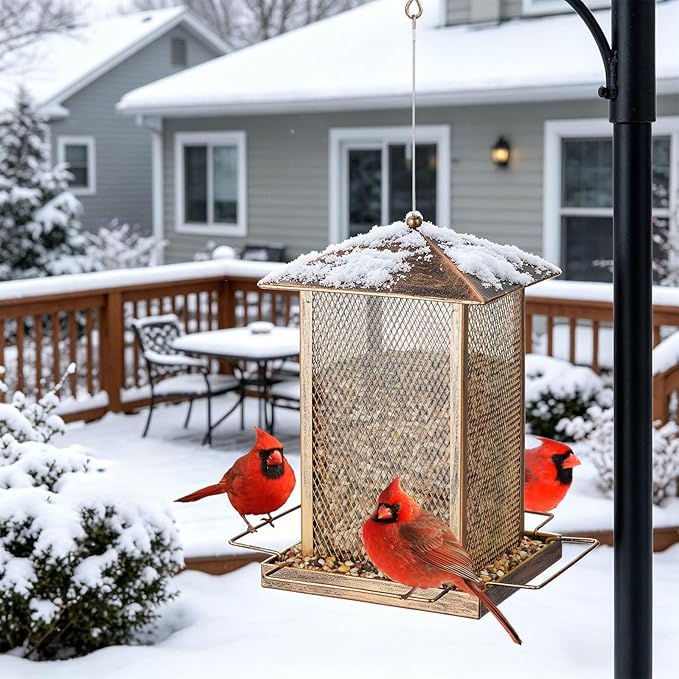 Bird Feeder, Heavy Duty Metal Bird Feeders for Outdoor Hanging, Wild Birdfeeder with Lid Buckle for Garden Yard Outside Backyard, 6LB Large Capacity