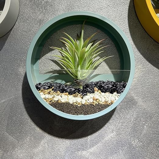 Pulovin 2.5 lbs Black Pebbles for Indoor Plants, Succulent, Bamboo, Vase, 3/8" Plant Rocks for Pots Indoor, Small River Rocks Decorative Pea Gravel, Highly Polished