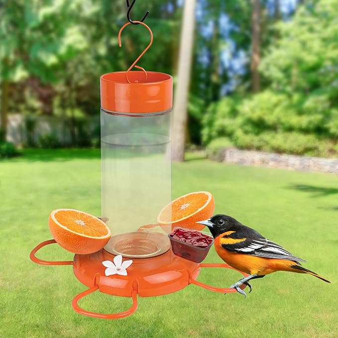 Nature's Way Hanging Glass Oriole Feeder for Outdoor Décor, 30 Ounce Capacity Nectar Feeder, Jelly Dishes, Orange Fruit Holders, 4 Eash to Clean Flexible Ports, Ant Moat, Bee Guards, Orange