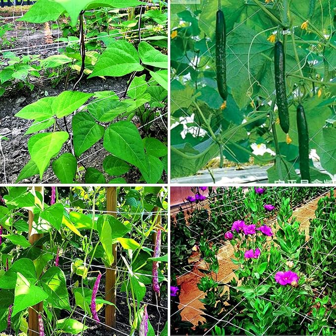 White Trellis Netting 5x100 ft Heavy Duty Garden Trellis Netting Polypropylene Plant Support Garden Net for Climbing Vegetables Fruits Flowers