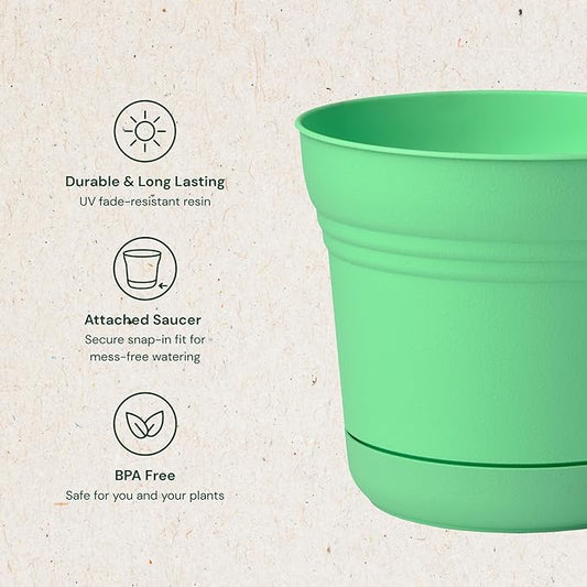 Bloem Saturn 5" Mint Green Round Resin Planter Pot with Snap-in Saucer for Indoor and Outdoor Gardening