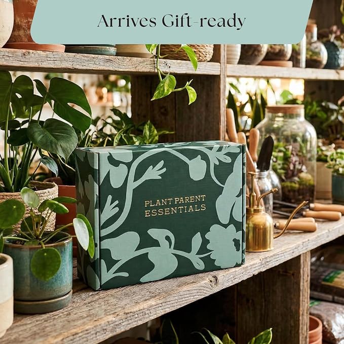 Rosy Soil Plant Parent Essentials Gift Box - Indoor Plant Kit & Gardening Tool Kit | Peat-Free Houseplant Soil, Terracotta Watering Bulb, Soil Scoop, Plant Brush - Gift for Plant Lovers