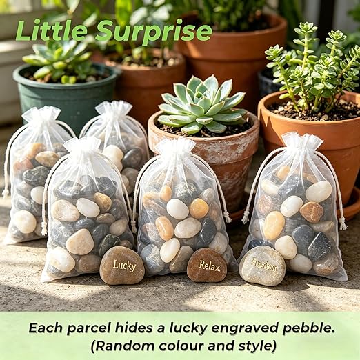 SIDONG 5 LB Mixed River Rocks, 0.3-0.5 Inches High Polished Pebbles for Indoor Plants, Aquarium Rocks Used in Fish Tank, Decorative Stones for Plants, Vases, Home Décor, Crafting, Garden Landscaping