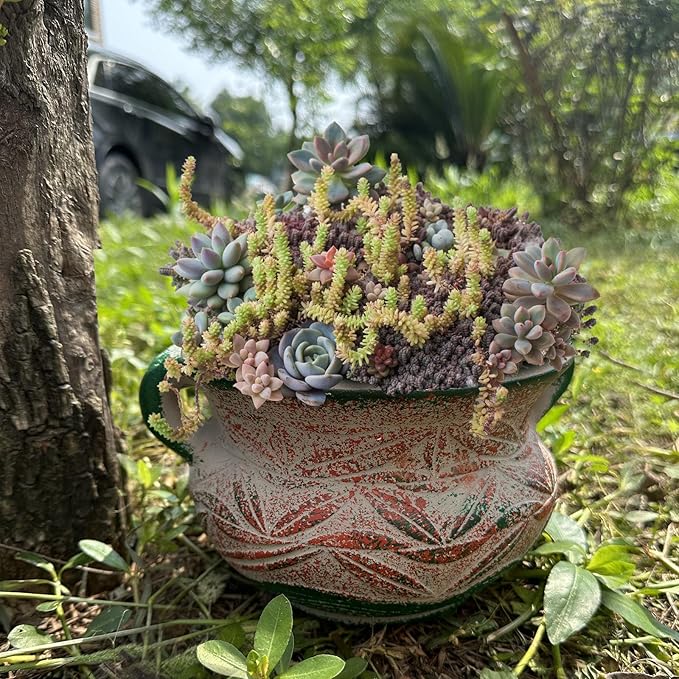 Ceramic Succulent Pot with Drainage Hole, Bohemia Rustic Decorative Planter for Indoor Outdoor Plants