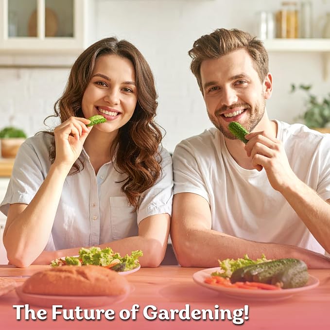 KVITER 50 Beit Alpha Cucumber Seeds for Planting (Cucumis sativus) – Persian Cucumbers, Parthenocarpic Cucumber – Non GMO, Heirloom Vegetable Seeds for Home Garden, Containers & Greenhouses