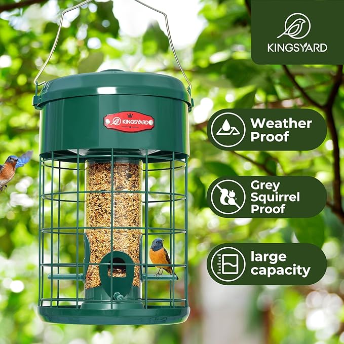 Kingsyard Upgraded Squirrel Proof Caged Bird Feeder for Outdoor Hanging - Additional Storage Tube Bird Feeder with 4 Feeding Ports & Perches, Easy to Clean & Refill. Green