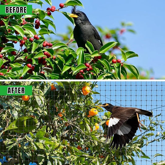 NONMON Bird Netting 5 x 100 FT Heavy Duty Garden Netting Deer Fence Netting Pest Barrier for Protect Fruit Trees, Plants and Vegetables Against Birds, Deer, Squirrels, Black - 2 Pack