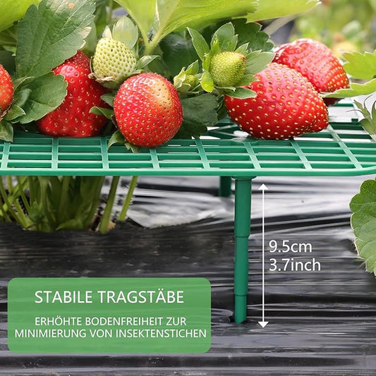 ANGTUO 10 Pack Square Strawberry Supports for Garden Strawberry Plant Support Strawberry Stand Holder Strawberry Racks Growing Frame