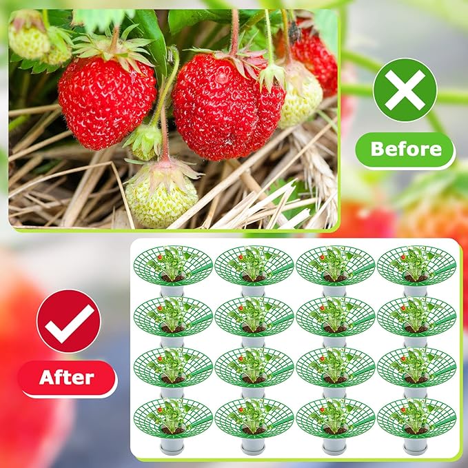 30 Packs Strawberry Supports Strawberry Growing Frame Strawberry Plant Support Plant Protectors Strawberry Trellis Growing Racks Plant Stand with 3 Sturdy Legs for Garden Strawberry Planting