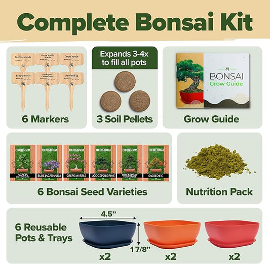 HOME GROWN Bonsai Tree Kit β 6 Heirloom Varieties with Unique Pots β DIY Bonsai Starter Kit for Adults & Beginners β Christmas Gift for Men Women Gardeners Plant Lovers β Indoor Growing Kit