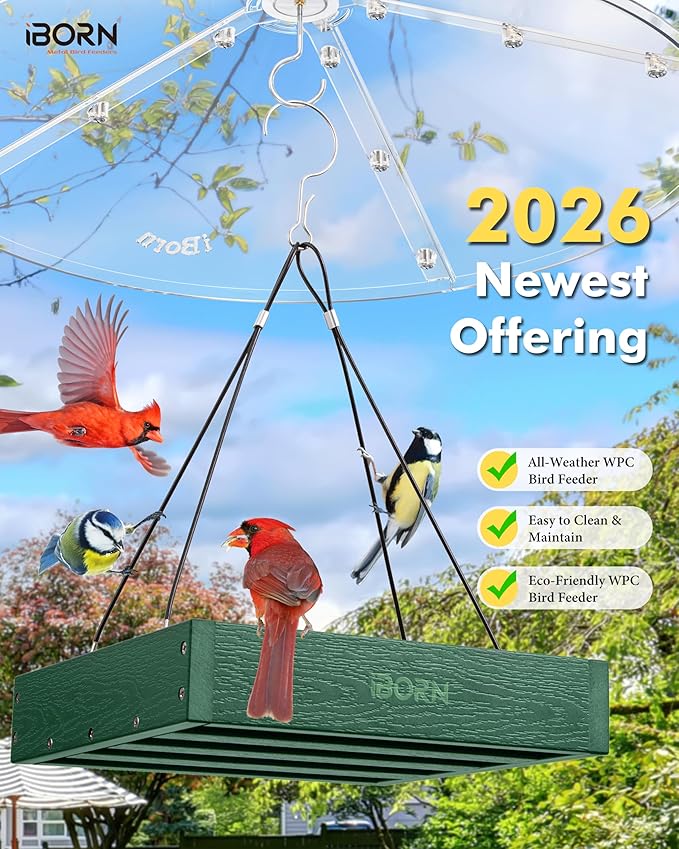 iBorn Platform Bird Feeder Tray Bird Feeders for Outdoors Hanging for Outside Flat Birdfeeder Tray with Large Capacity 3LBS, WPC Recycled Plastic & Cedar Look, Waterproof, 10.6"x10.6", Green